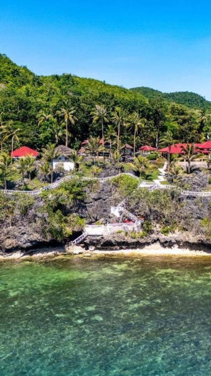 Blue Star Dive Resort, Anda | Mola Mola Travel