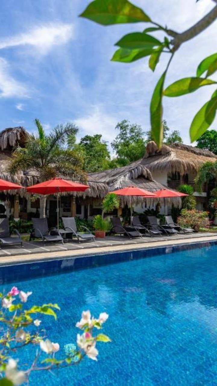 Azure Dive Resort Dauin | Mola Mola Travel