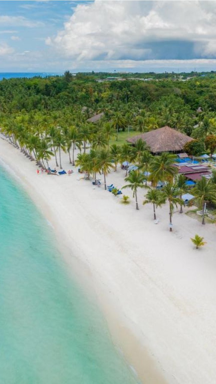 Bohol Beach Club, Panglao Island | Mola Mola Travel