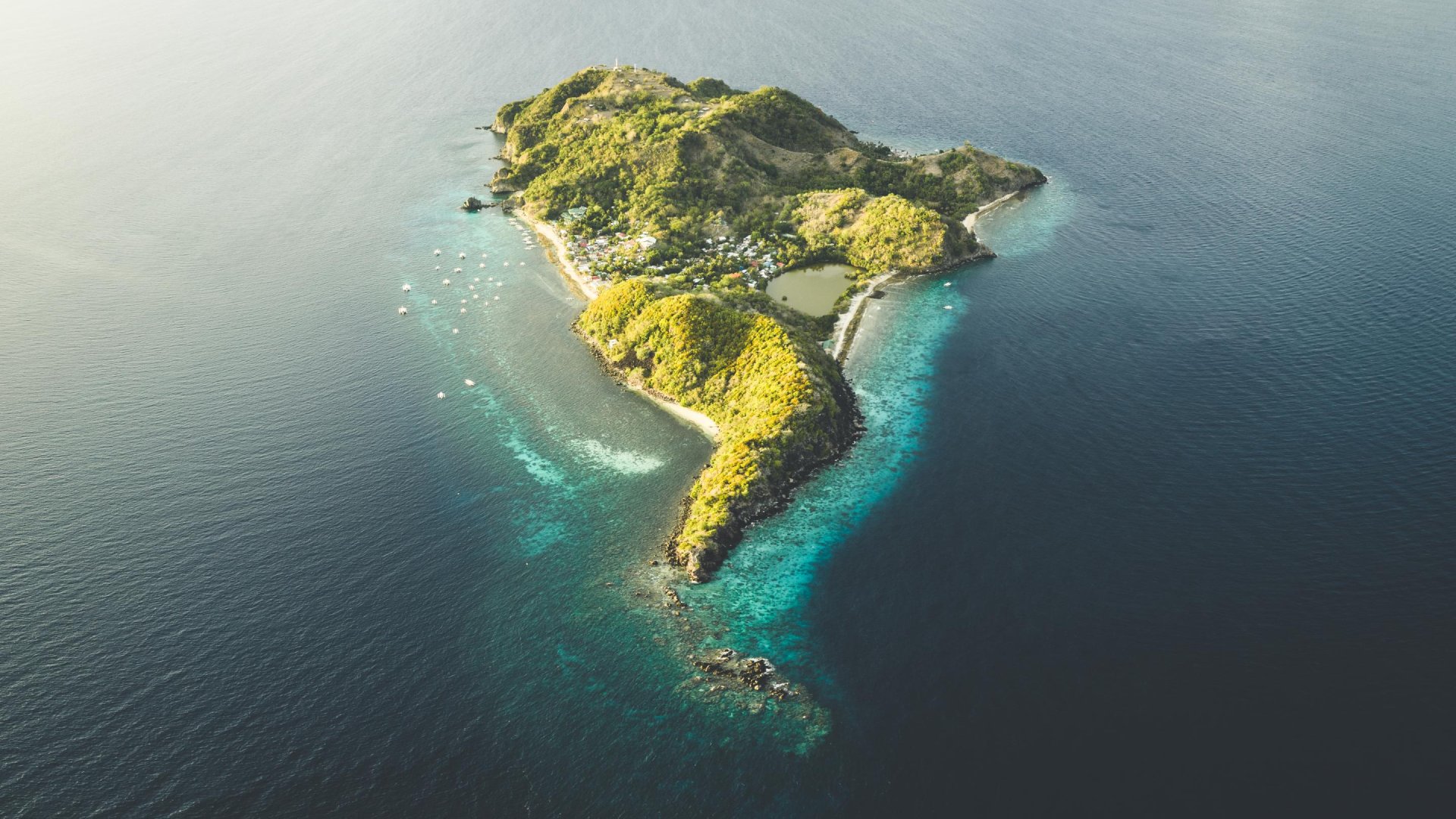 Apo Island | Molamola.travel