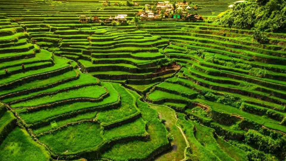 Rijstterrassen Batad, Noord-Luzon - Filipijnen | Mola Mola Travel