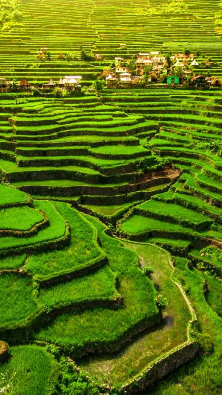 Rijstterrassen Batad, Noord-Luzon - Filipijnen | Mola Mola Travel