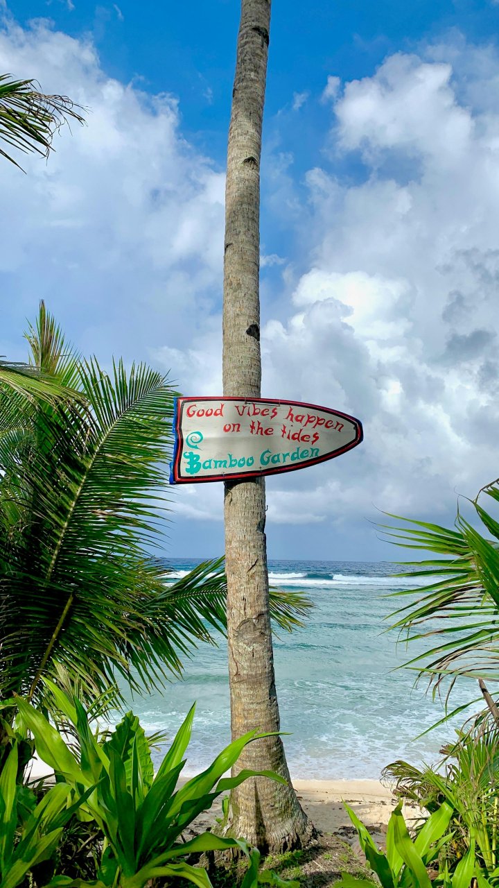 Strandbordje met good vibes | Mola Mola Travel