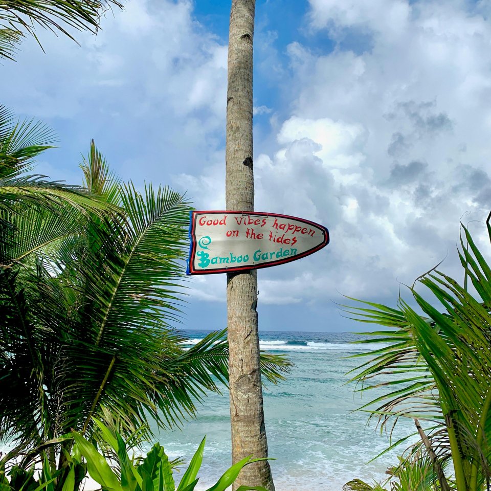 Strandbordje met good vibes | Mola Mola Travel
