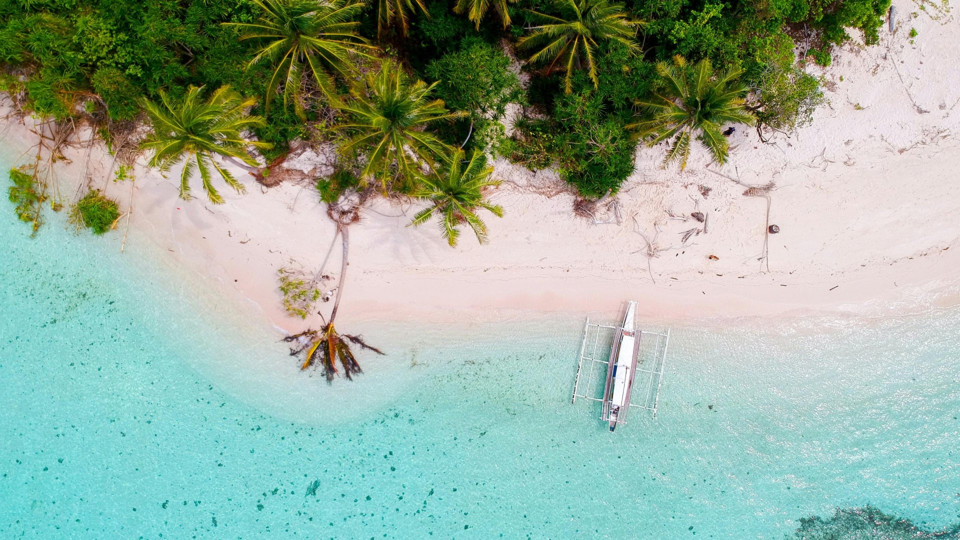 Boot voor strand Balabac, Palawan - Filipijnen | Mola Mola Travel