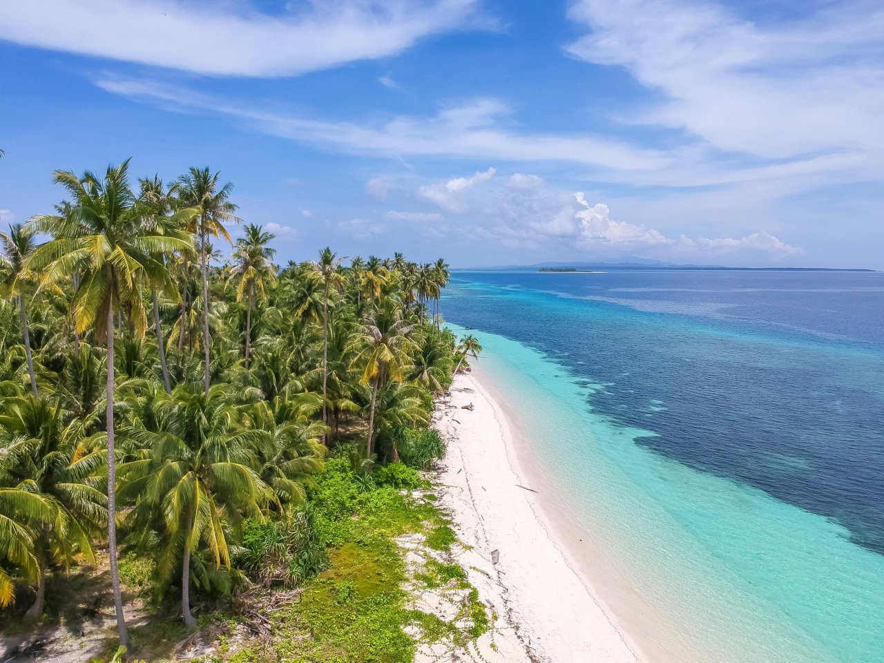 Balabac, Palawan | Mola Mola