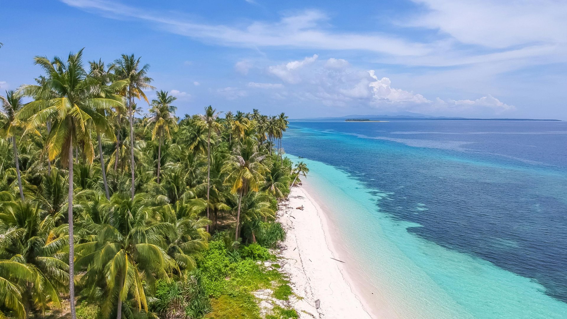 Balabac, Palawan | Mola Mola