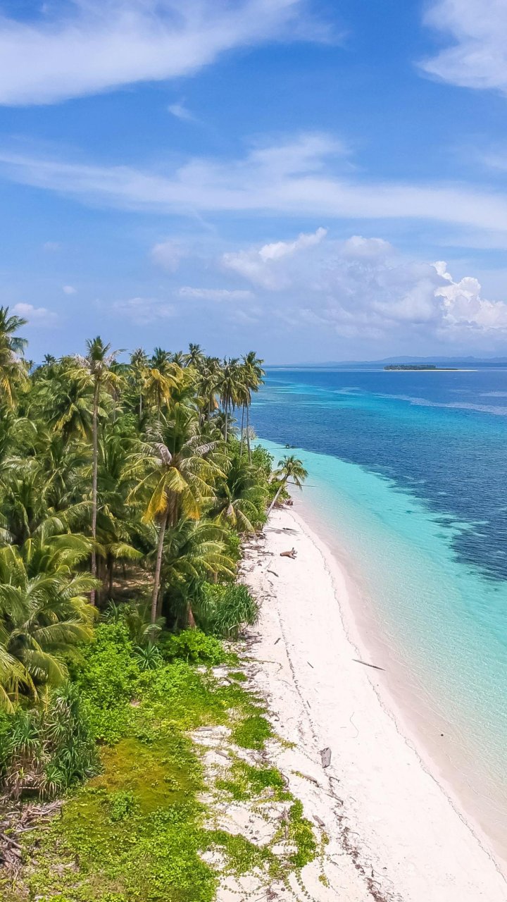 Balabac, Palawan | Mola Mola