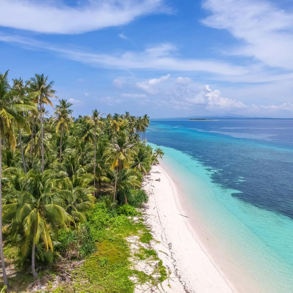 Balabac, Palawan | Mola Mola