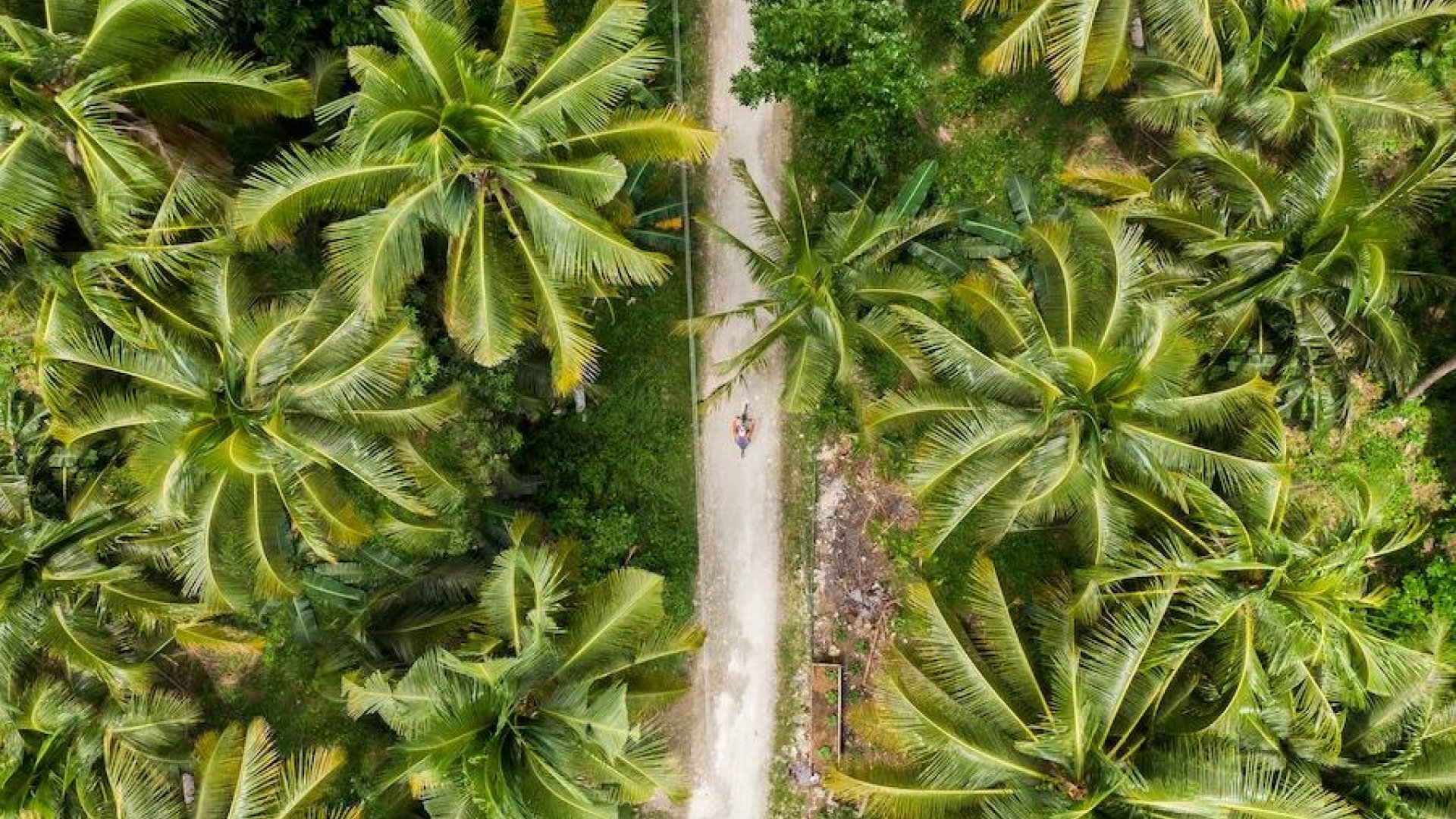 Siquijor per scooter | Mola Mola Travel