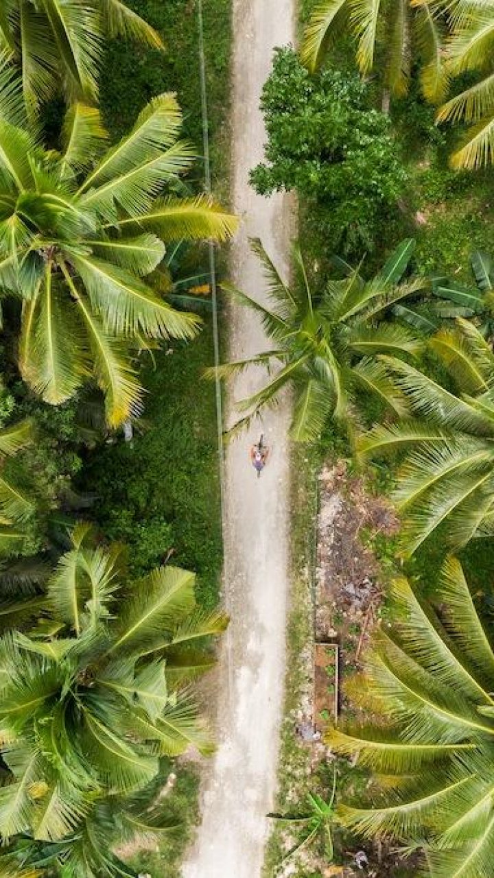 Siquijor per scooter | Mola Mola Travel