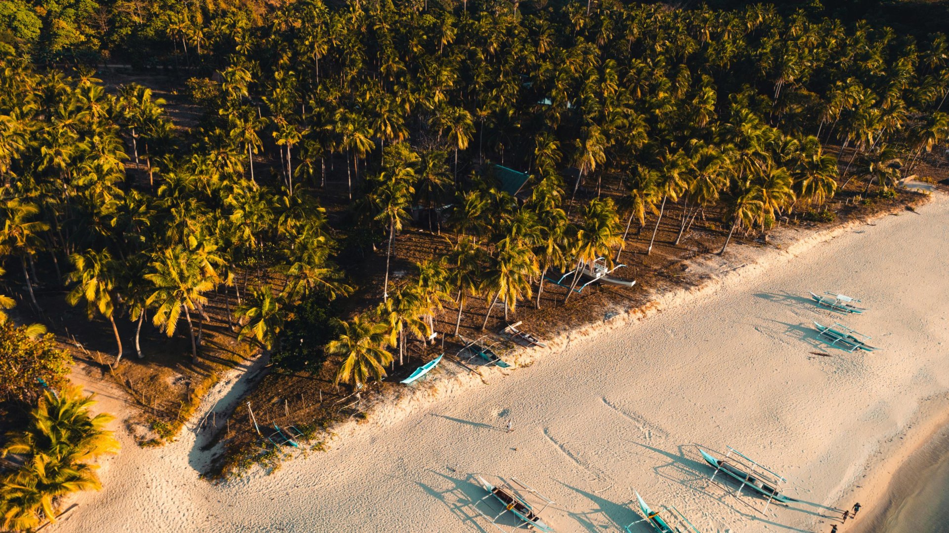 Boten op strand, El Nido, Palawan - Filipijnen | Mola Mola Travel