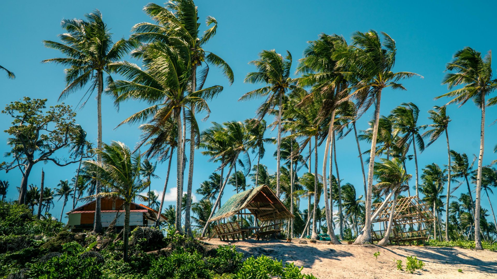 Beach huts op Siargao - Filipijnen | Mola Mola Travel