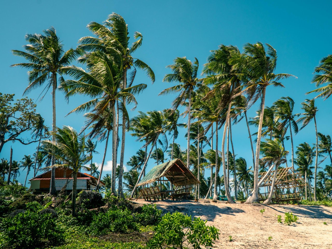 Beach huts op Siargao - Filipijnen | Mola Mola Travel