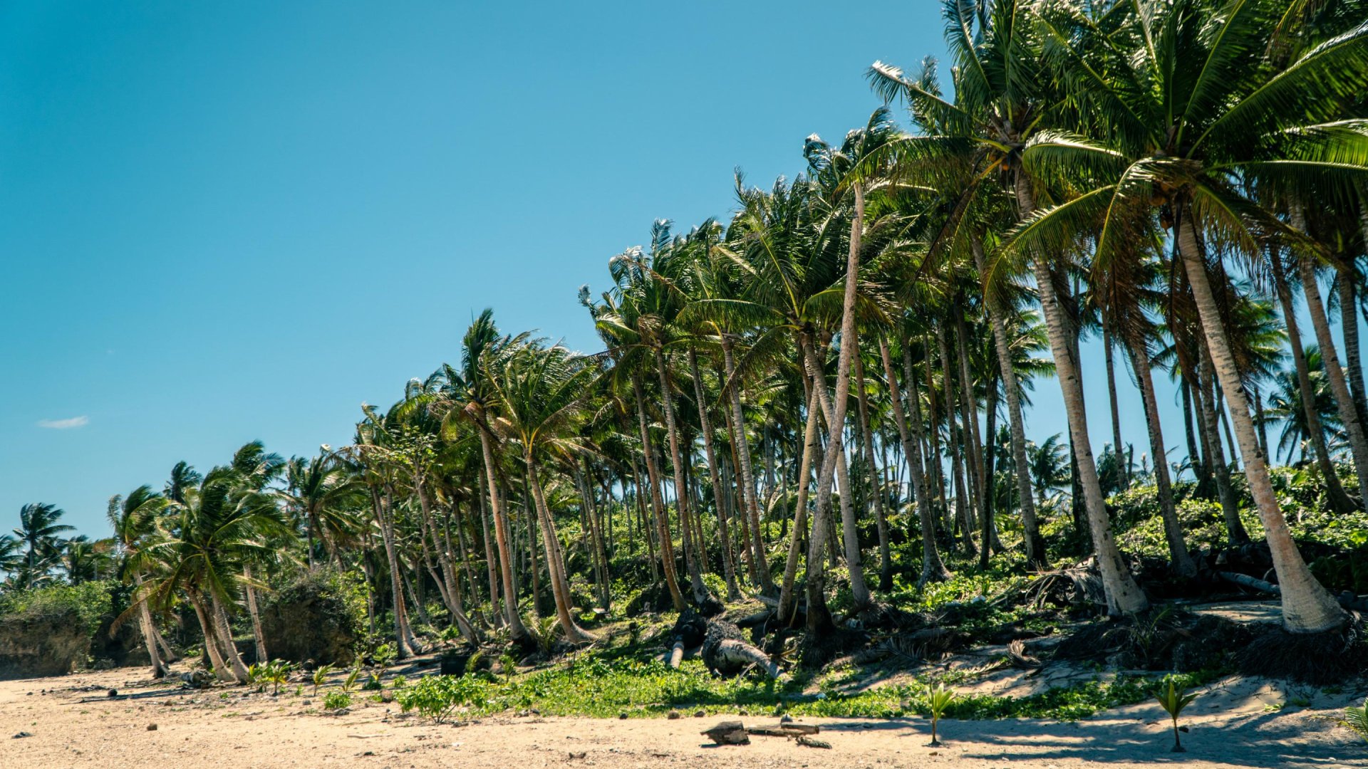 Tropisch strand, Siargao - Filipijnen | Mola Mola Travel
