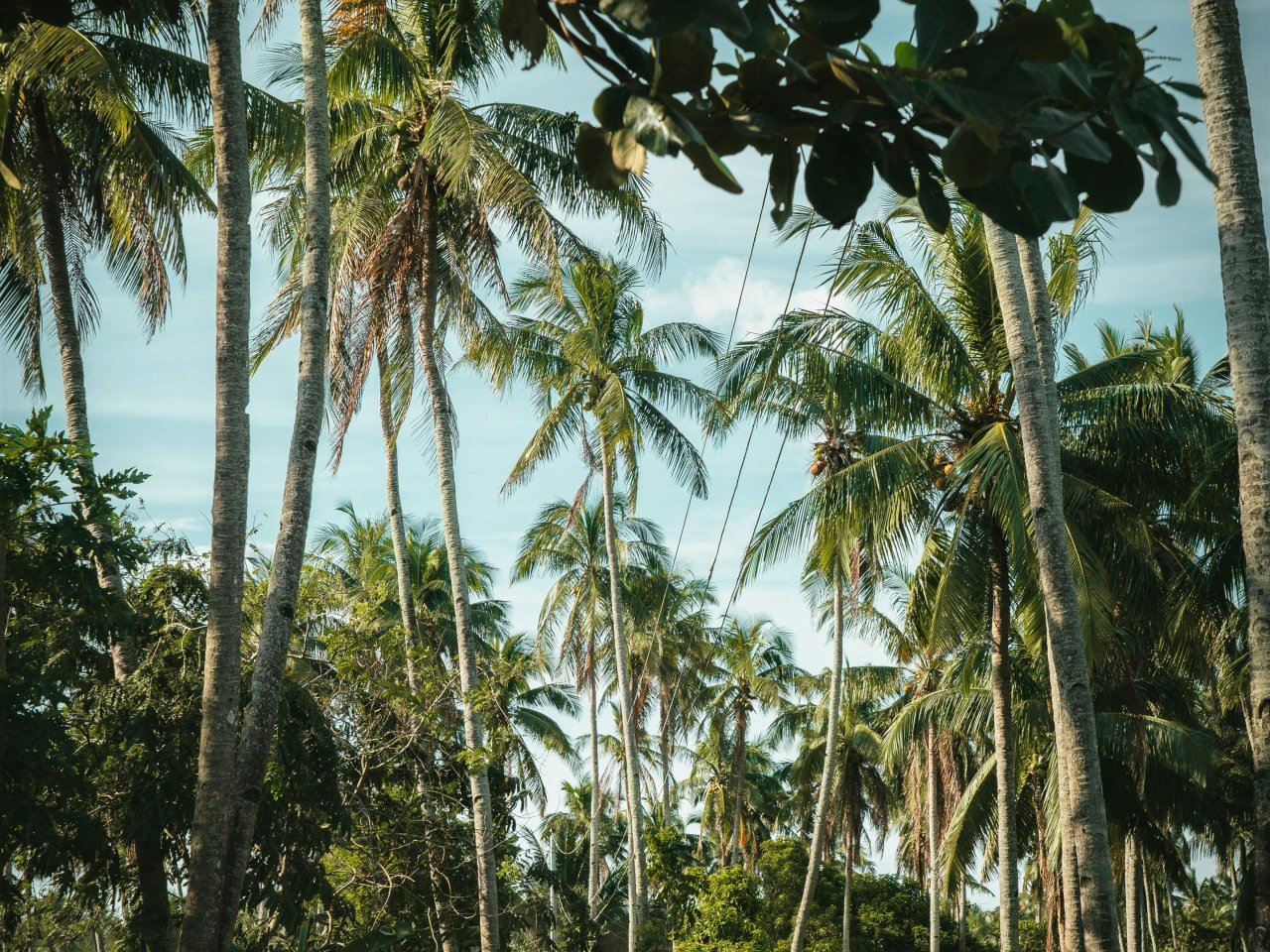 Weg op Palawan - Filipijnen | Mola Mola Travel