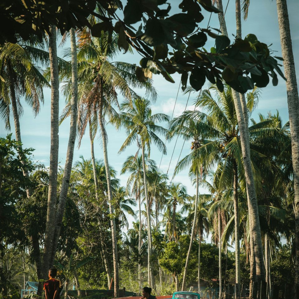 Weg op Palawan - Filipijnen | Mola Mola Travel