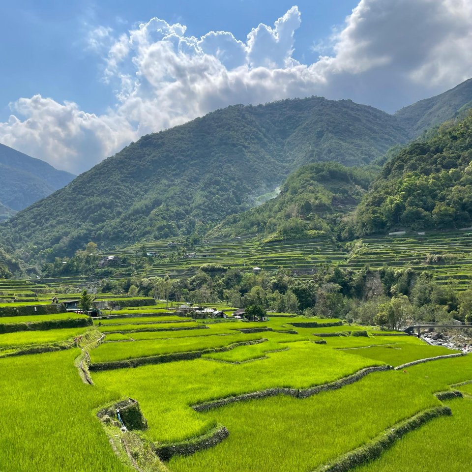 Banaue, Ifugao, Filipijnen | Mola Mola