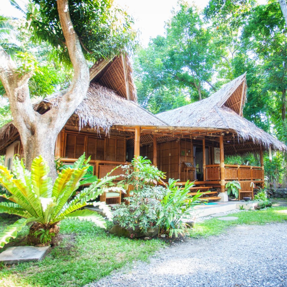 Pura Vida Dauin | Mola Mola Travel