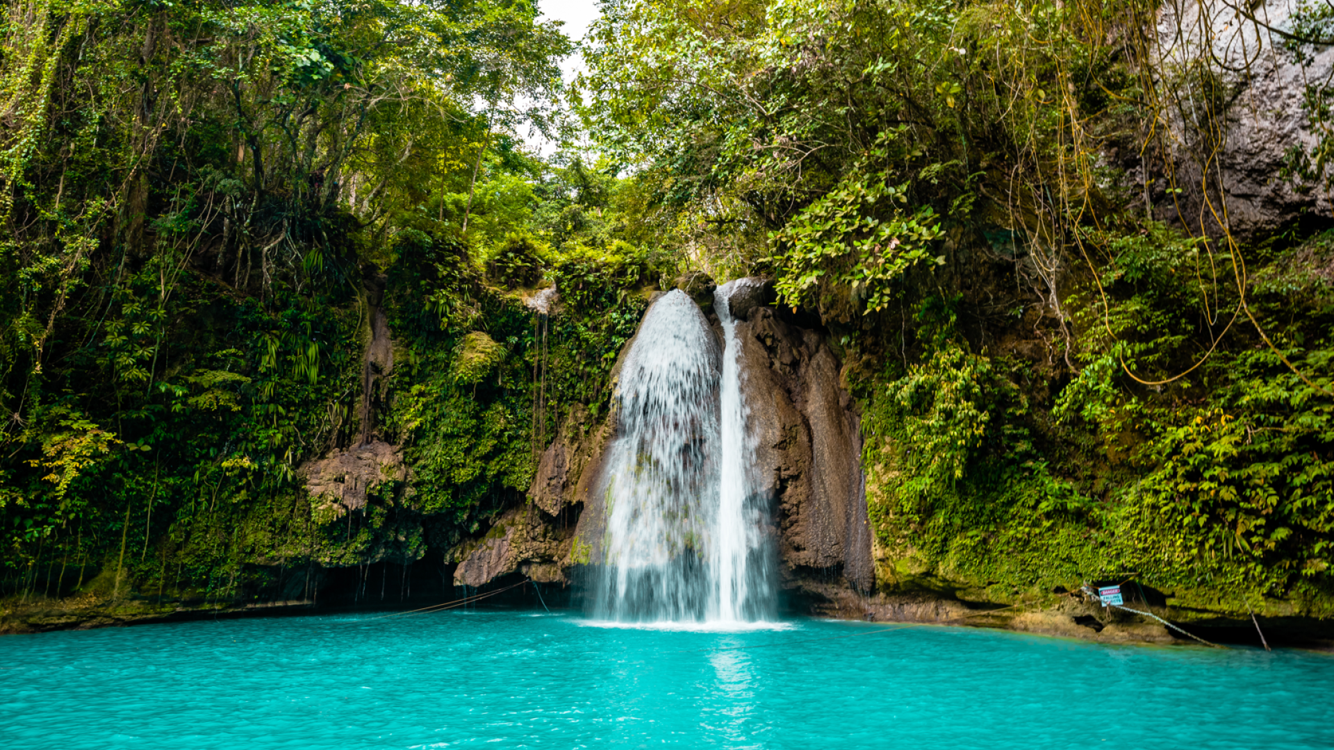 Kawasan Waterfalls | Molamola.travel