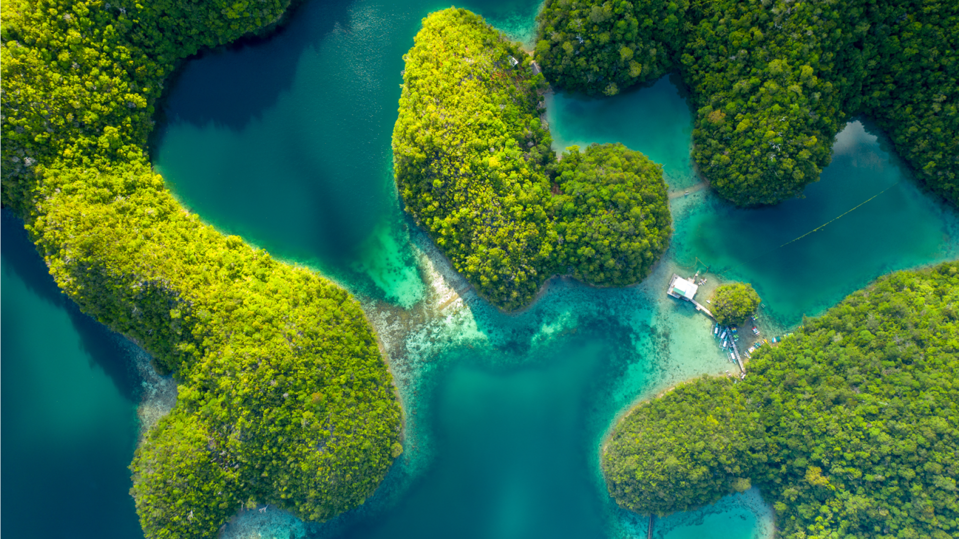 Sugba lagoon Siargao | Molamola.travel