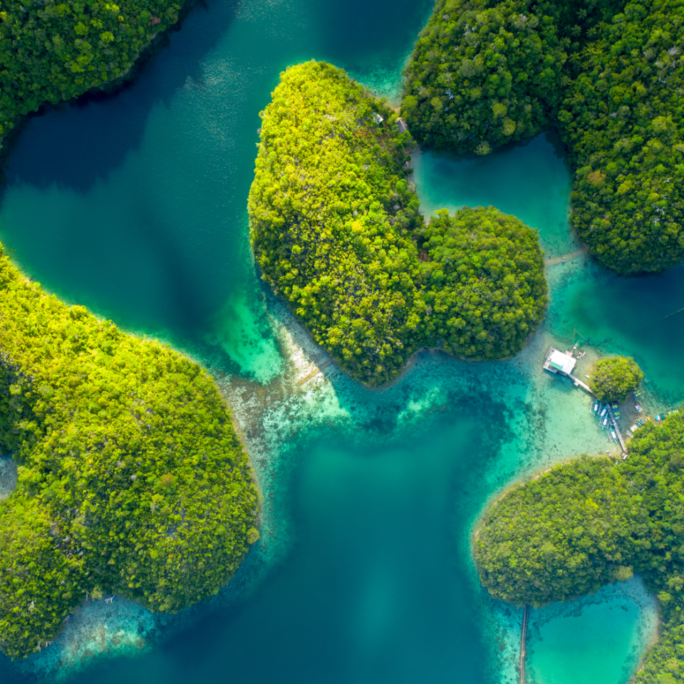 Sugba lagoon Siargao | Molamola.travel