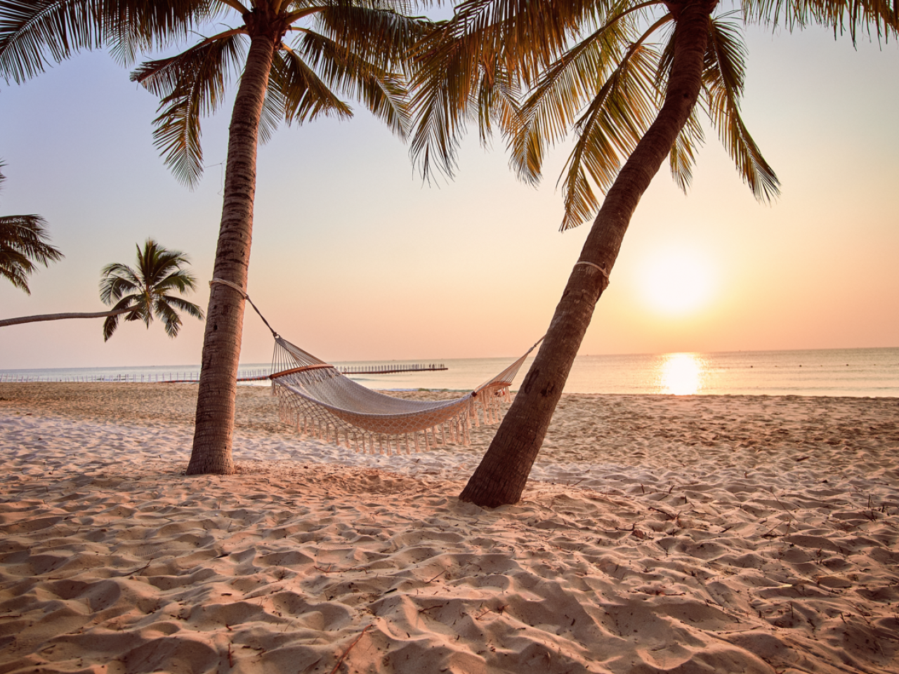 Hangmat tropisch strand | Molamola.travel