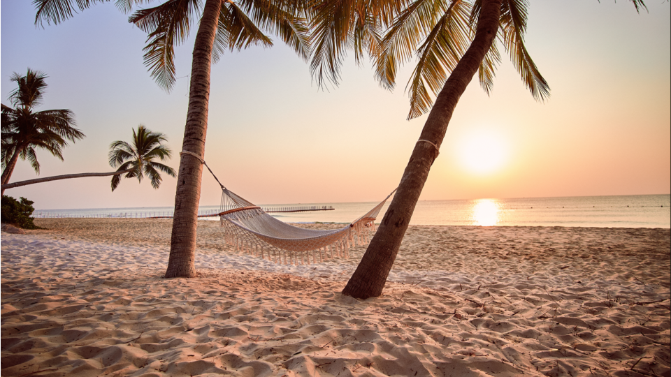 Hangmat tropisch strand | Molamola.travel