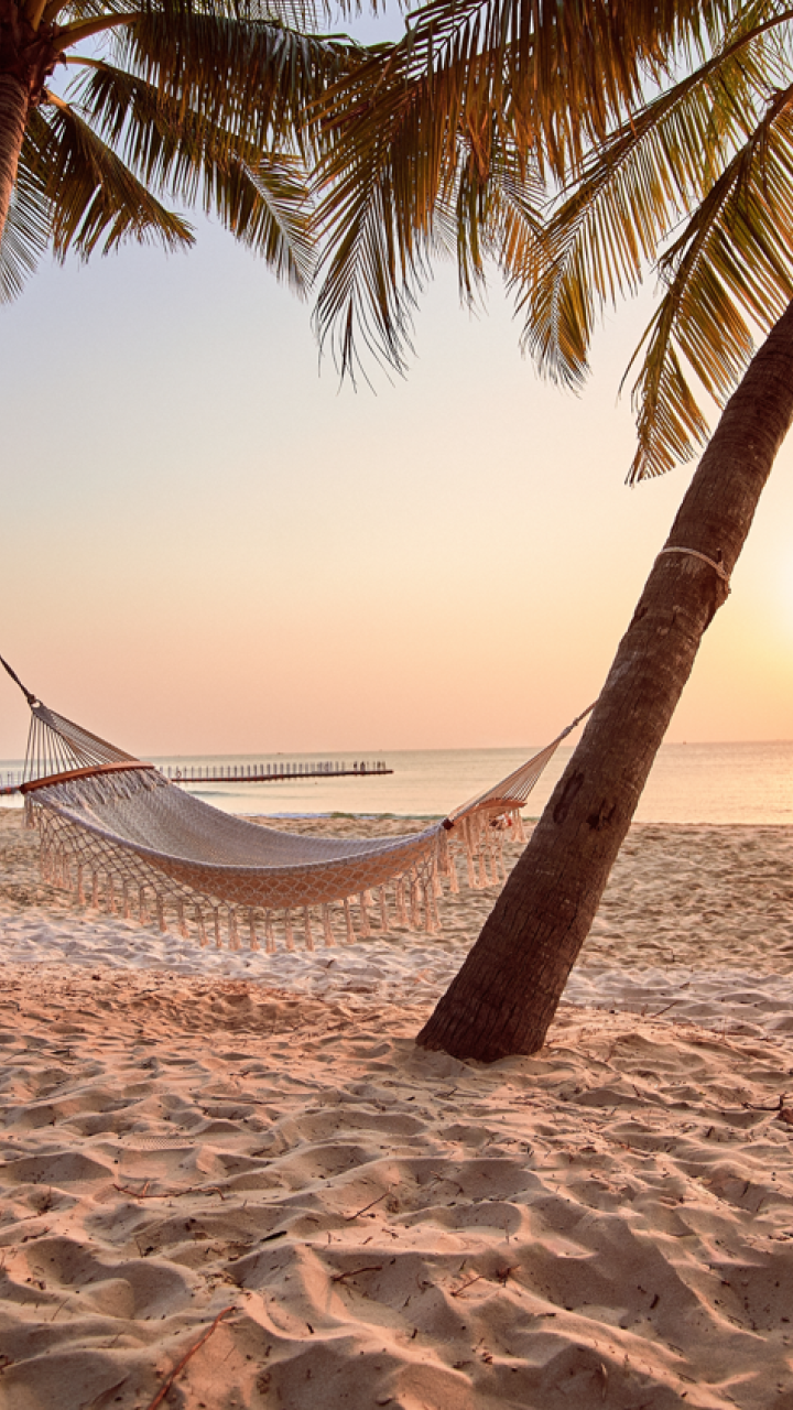 Hangmat tropisch strand | Molamola.travel