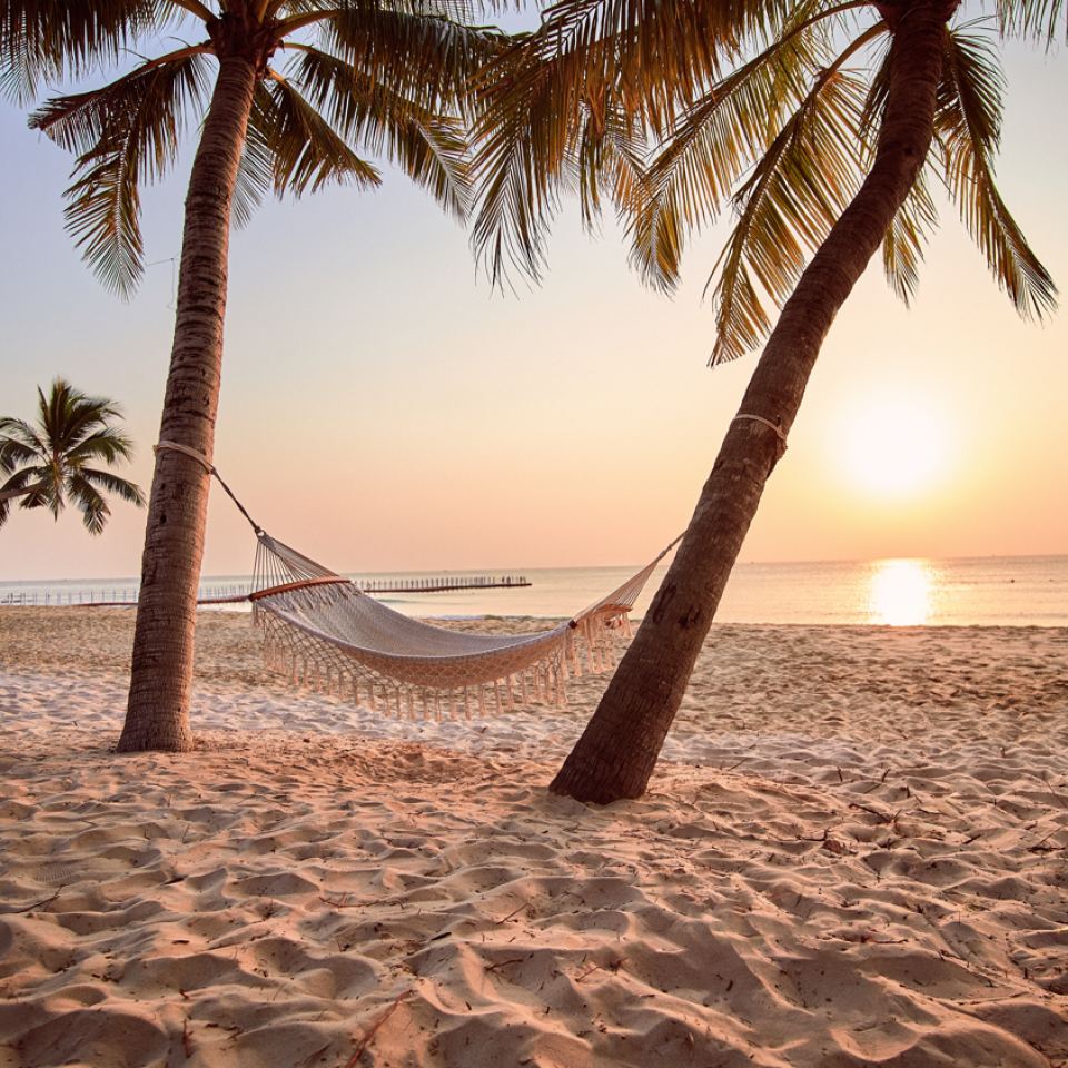 Hangmat tropisch strand | Molamola.travel