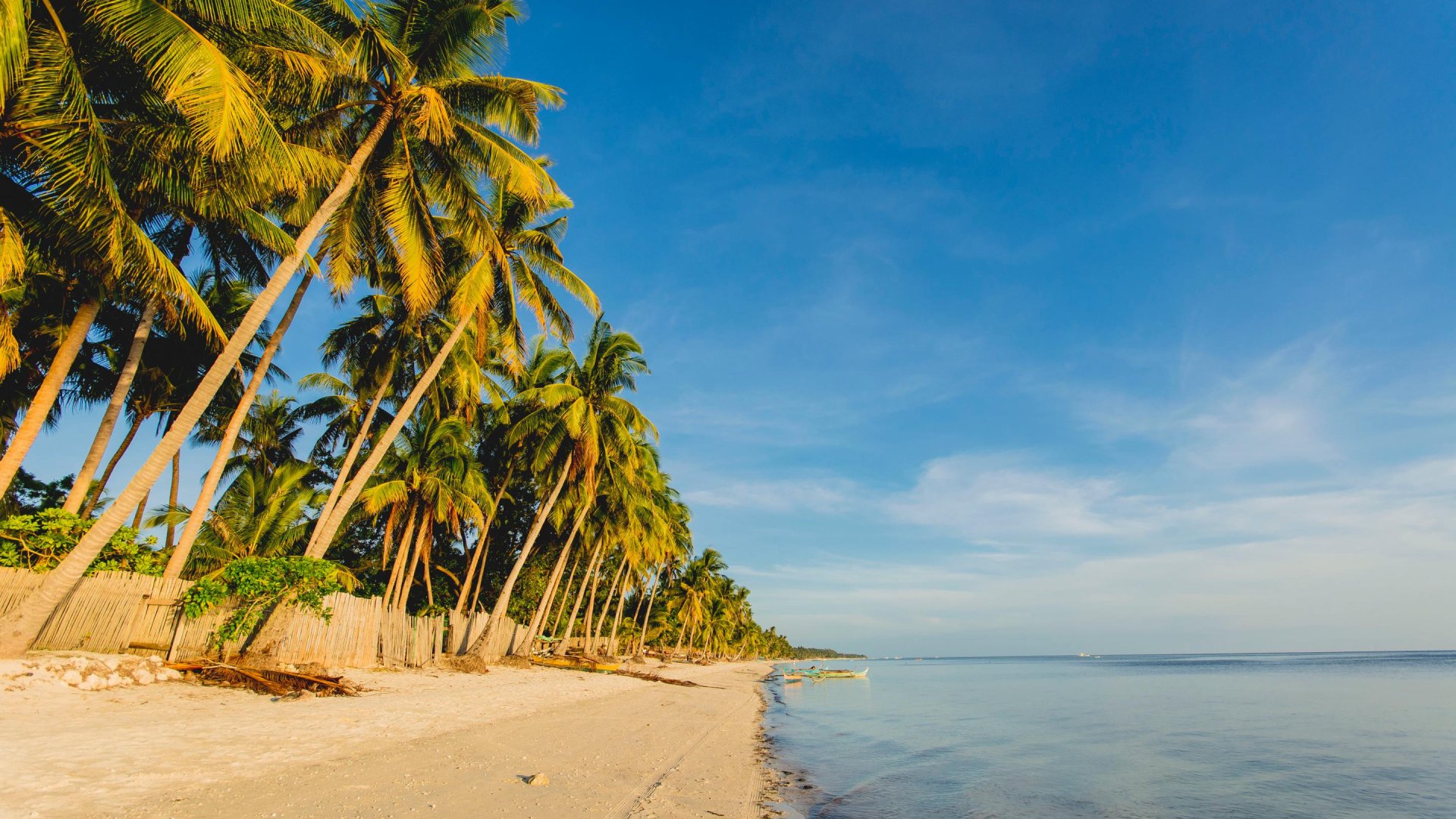 Paliton Beach Siquijor | Molamola.travel