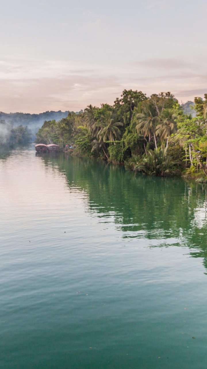 Loboc River | Molamola.travel