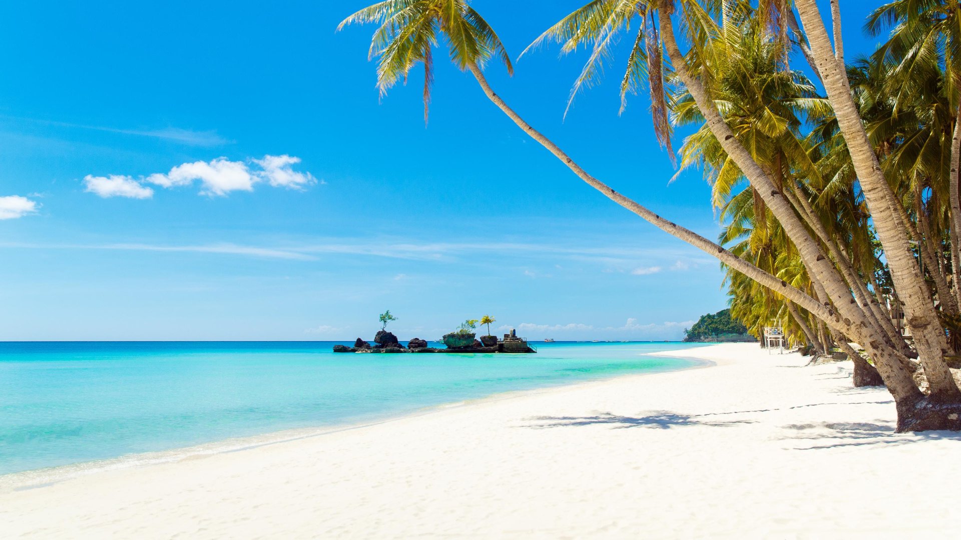 Strand met palm Boracay | Molamola.travel