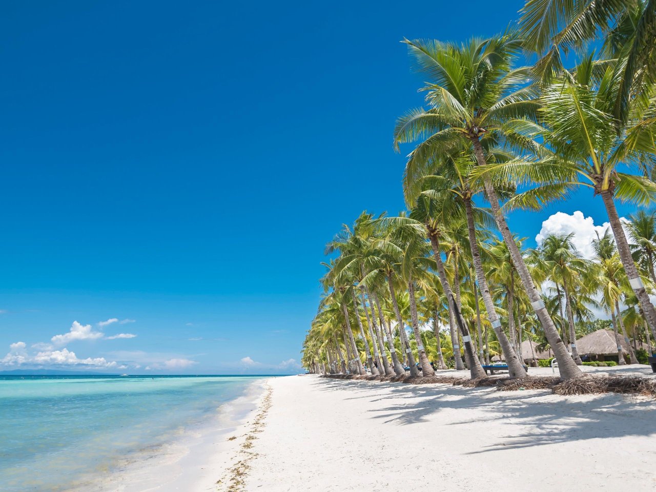 Strand Panglao | Molamola.travel