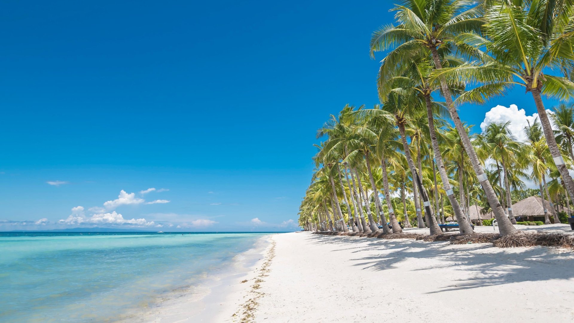 Strand Panglao | Molamola.travel