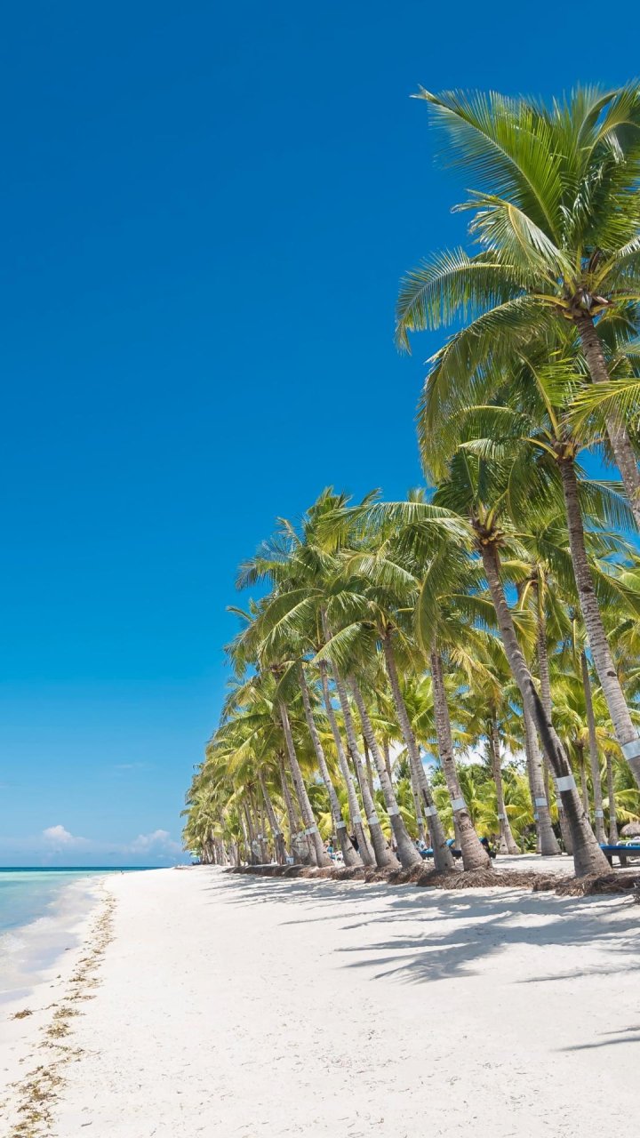 Strand Panglao | Molamola.travel