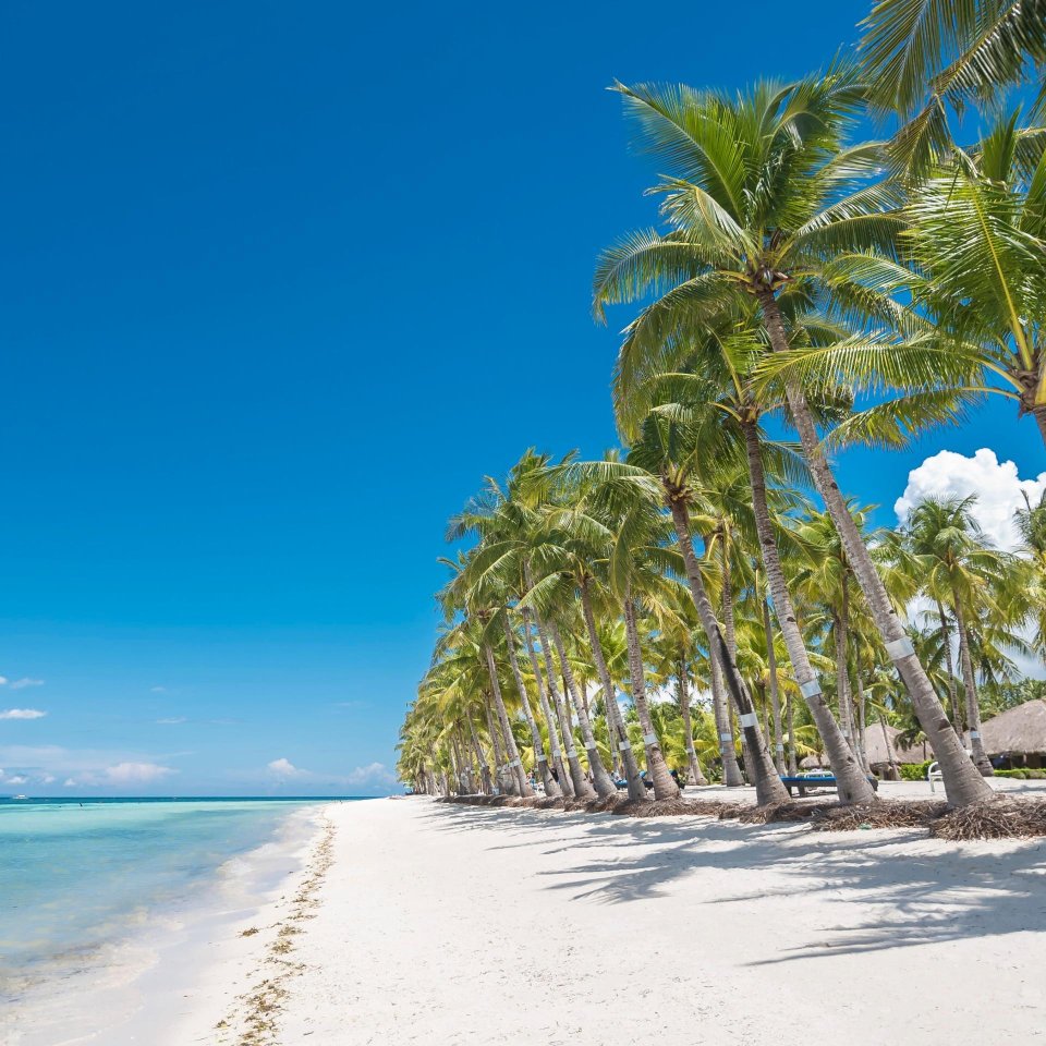 Strand Panglao | Molamola.travel