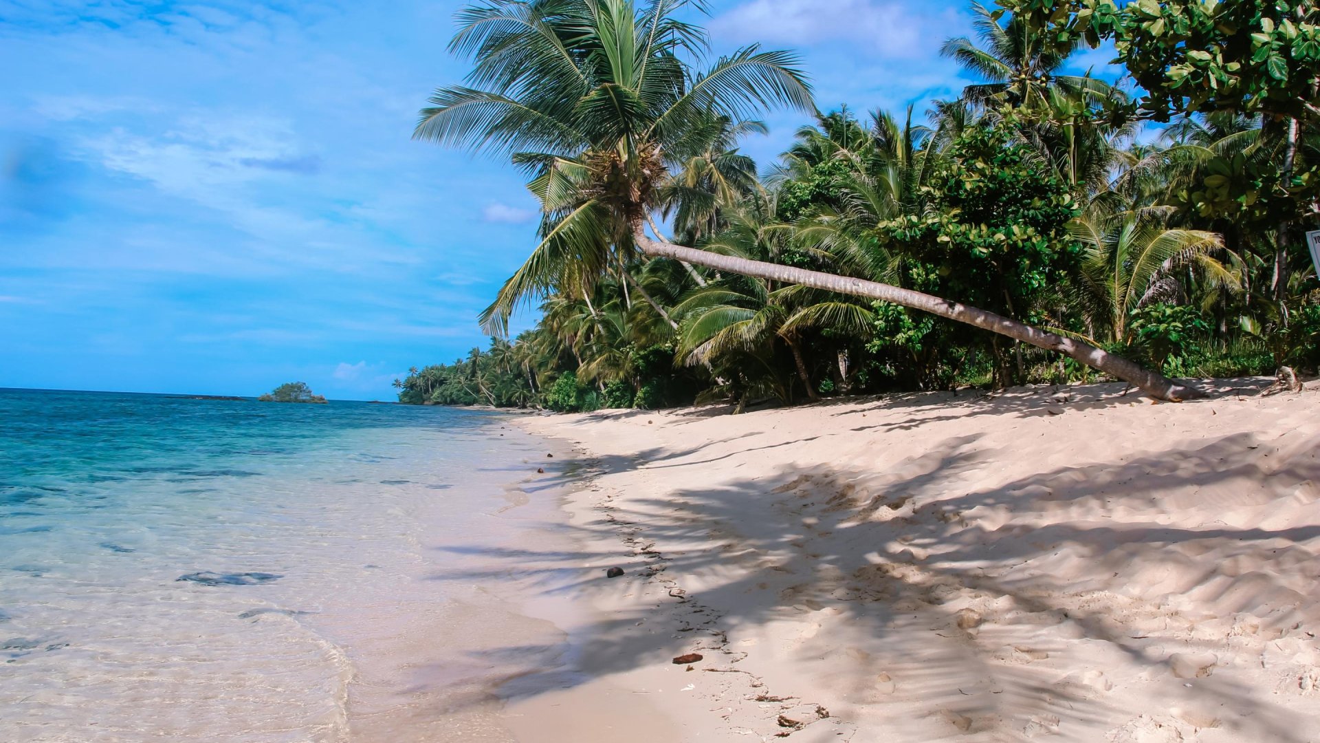 Strand met palmboom Siargao | Molamola.travel
