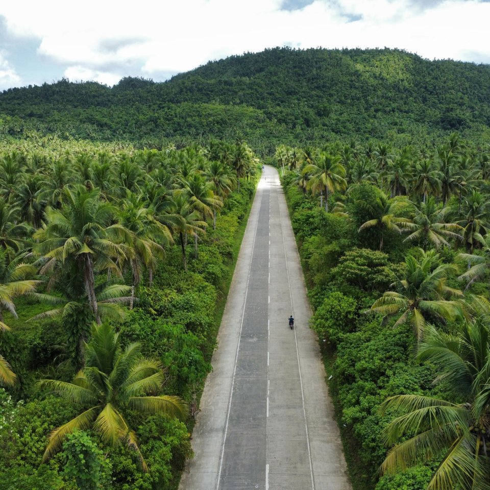 Coconut road siargao | Molamola.travel