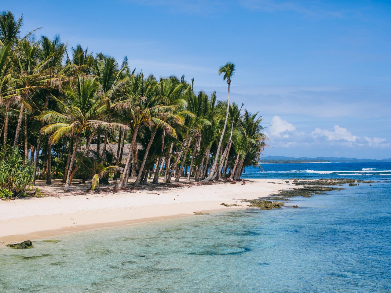 Tropische kust met palmbomen Siargao | Molamola.travel
