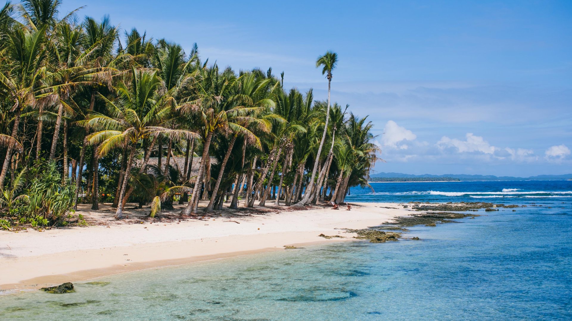 Tropische kust met palmbomen Siargao | Molamola.travel