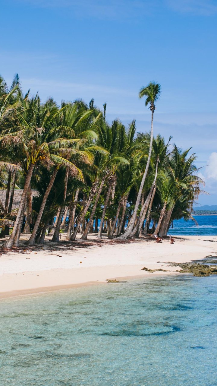 Tropische kust met palmbomen Siargao | Molamola.travel