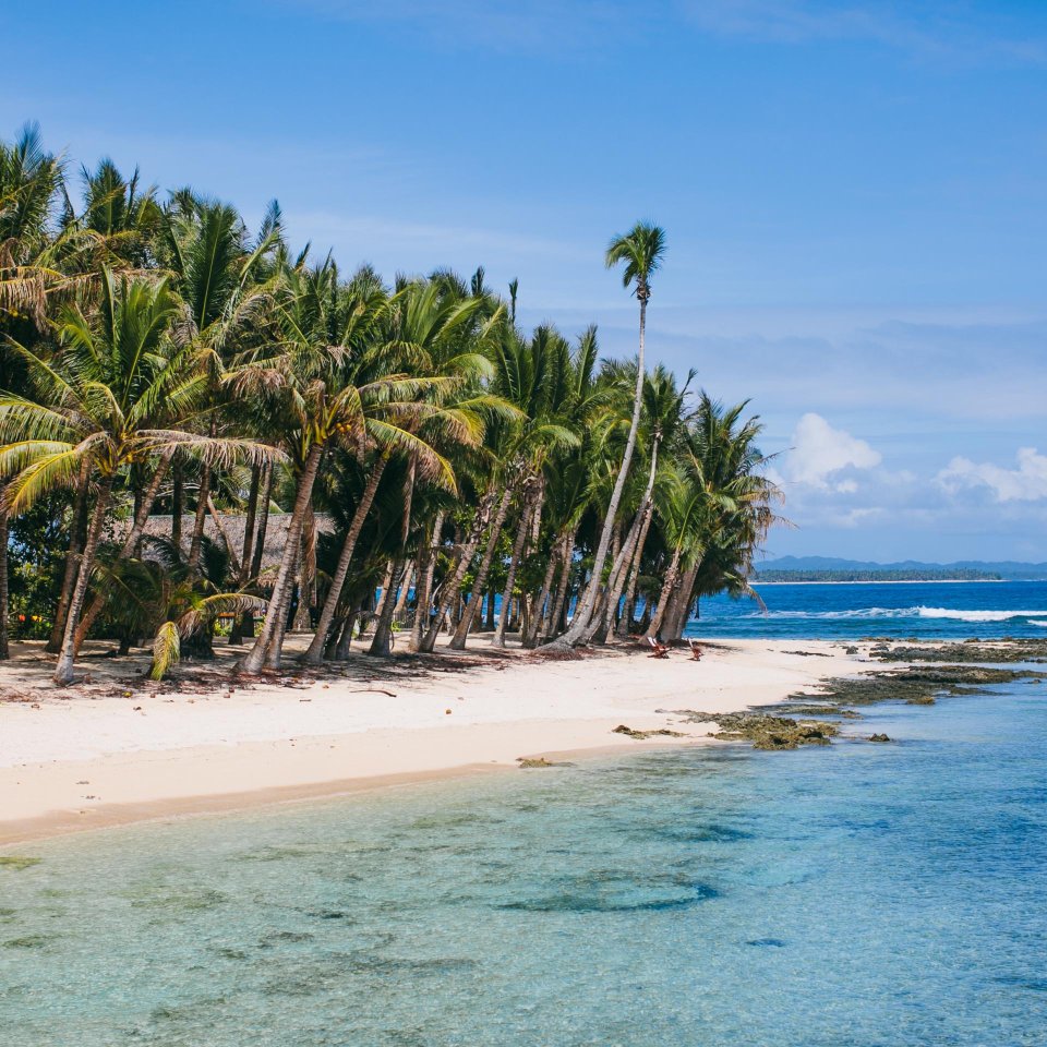 Tropische kust met palmbomen Siargao | Molamola.travel