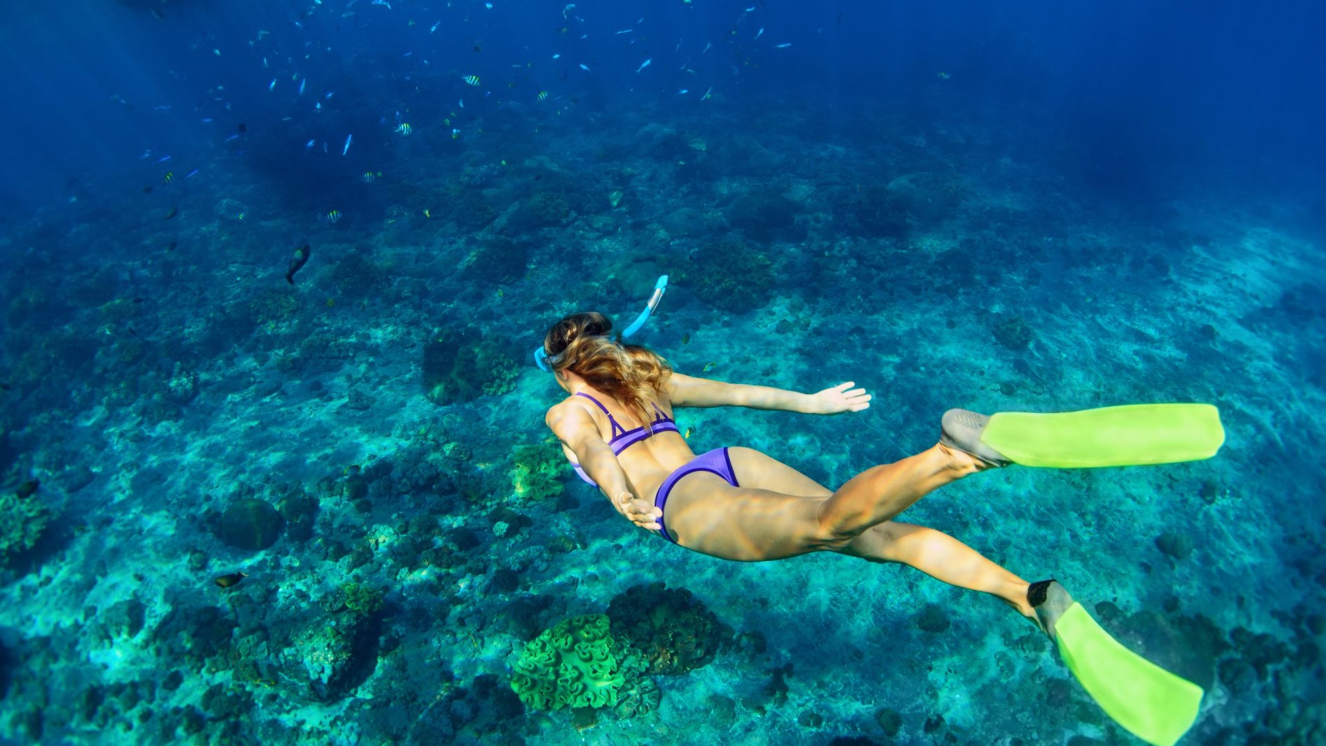 Snorkelen Filipijnen | Molamola.travel
