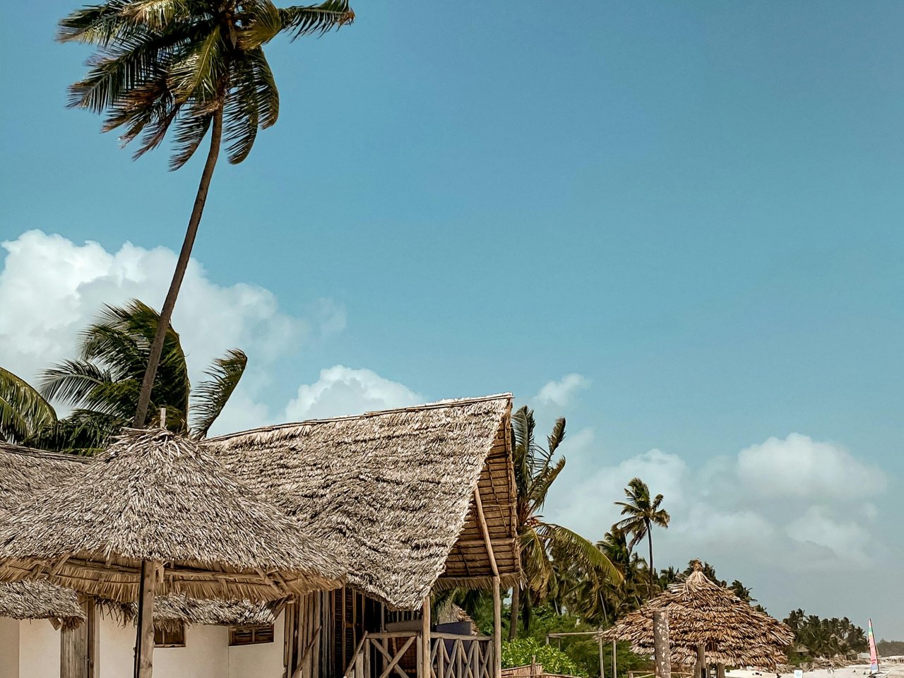 Beach hut met palmbomen | Mola Mola Travel