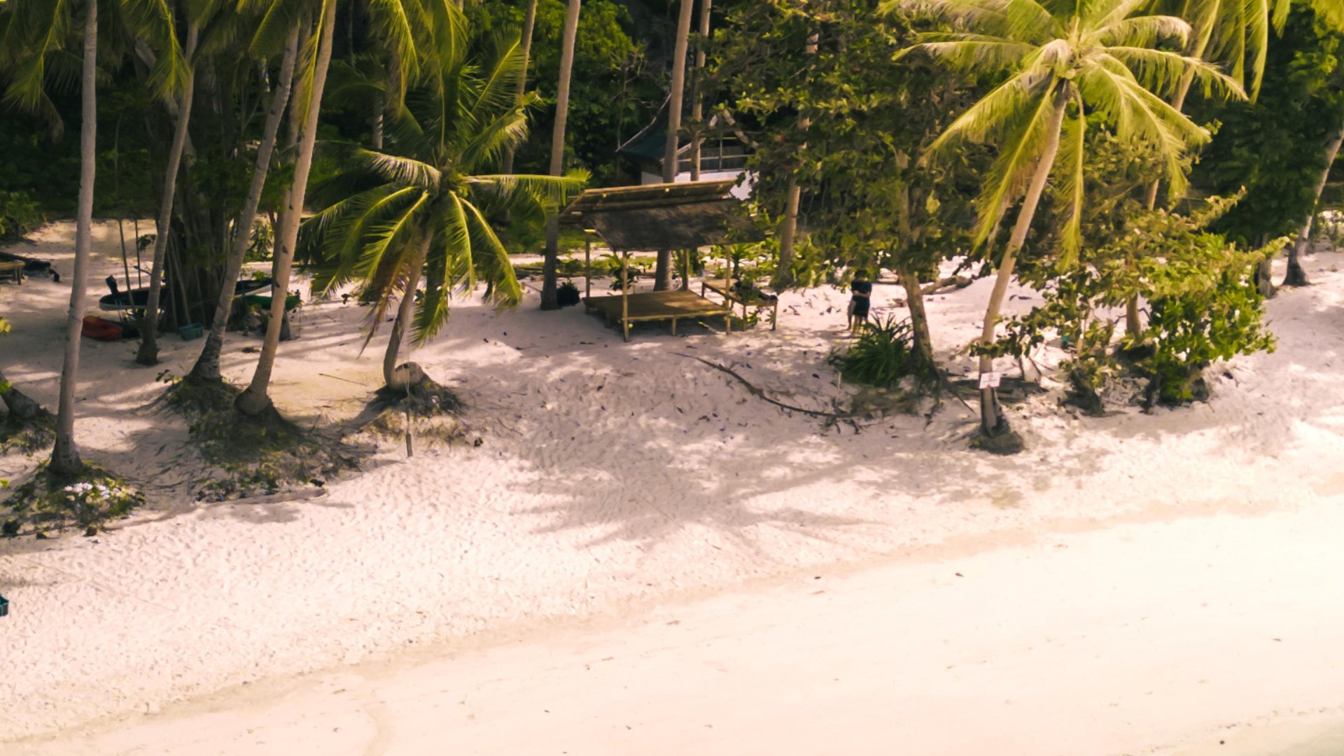 The Funny Lion El Nido | Mola Mola Travel