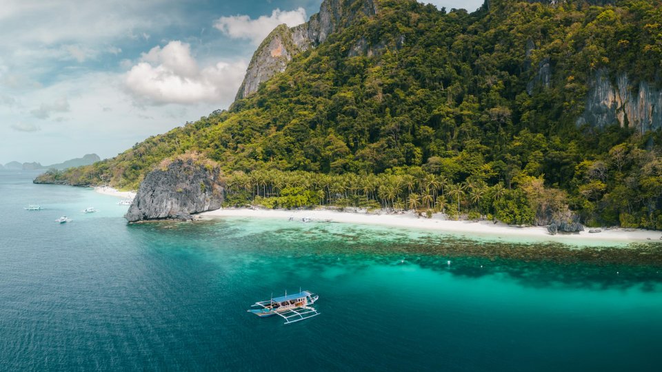The Funny Lion El Nido | Mola Mola Travel