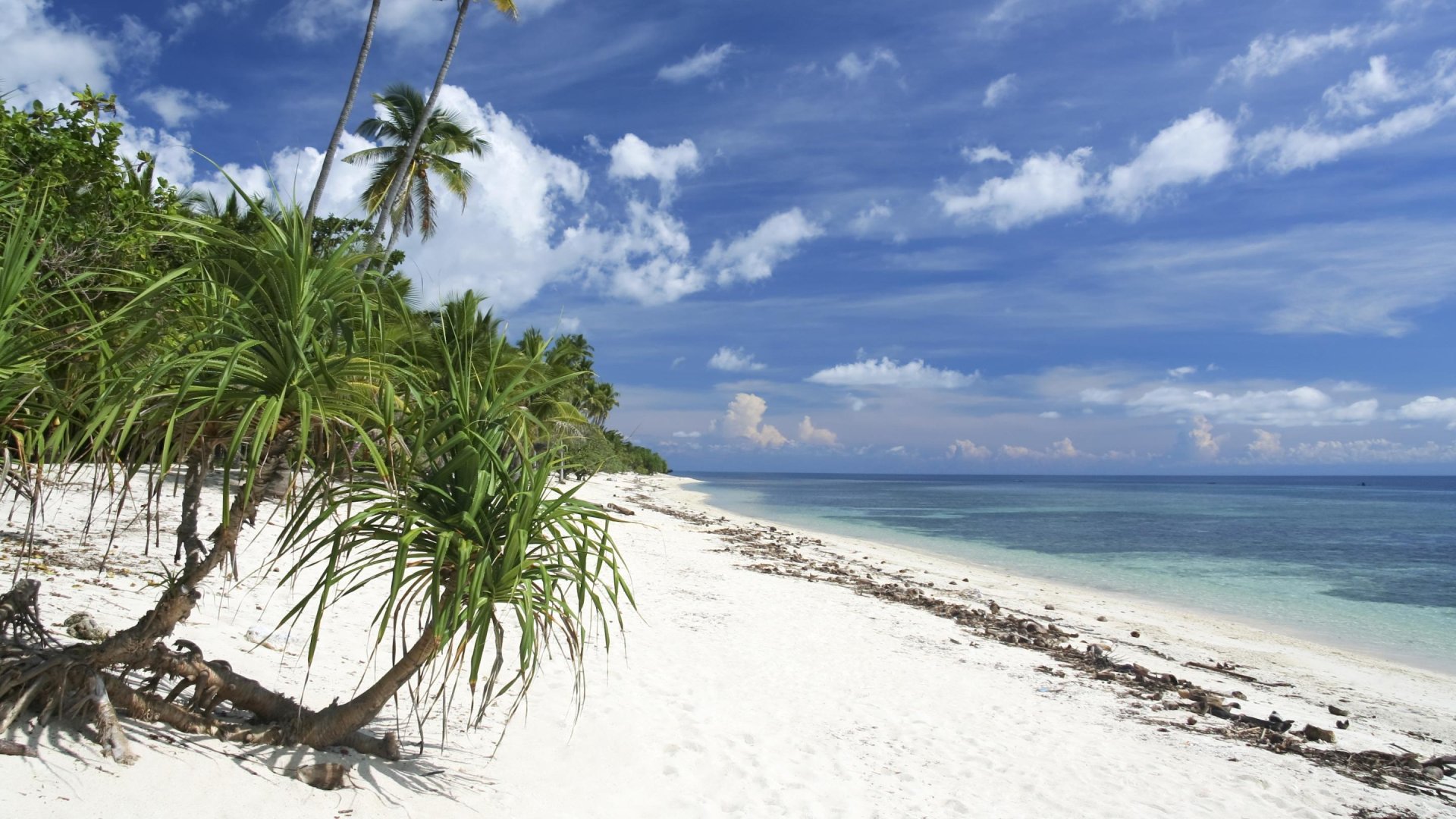 Wit strand Siquijor | Mola Mola Travel