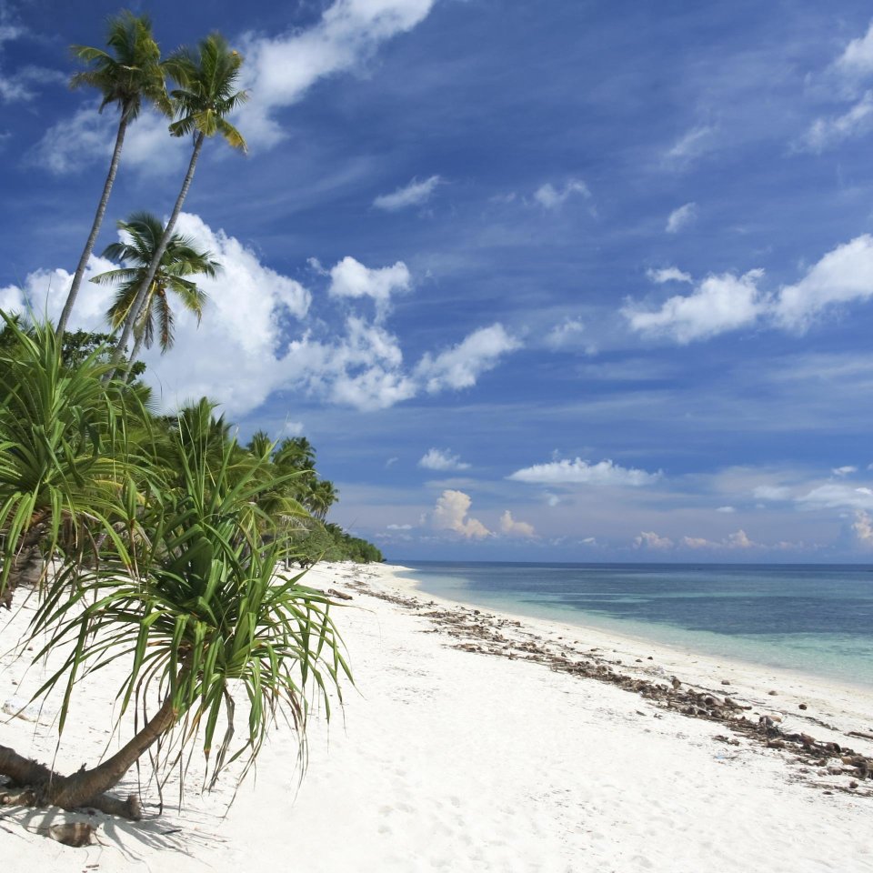 Wit strand Siquijor | Mola Mola Travel