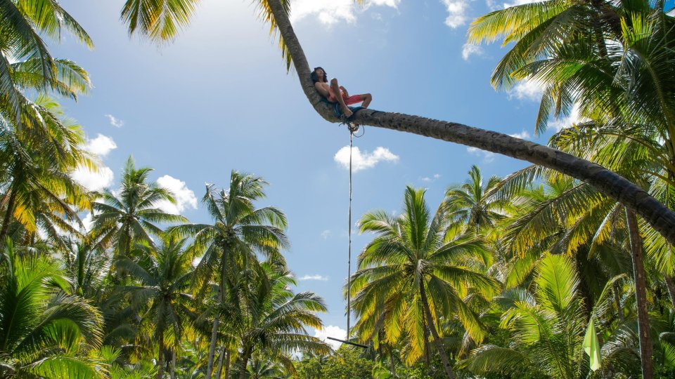 Meisje in een palmboom op Siargao | Mola Mola Travel